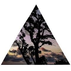 Sunset Coastal Park Landscape, Montevideo Uruguay Wooden Puzzle Triangle by dflcprintsclothing