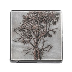 Big Tree Photo Illustration Memory Card Reader (square 5 Slot) by dflcprintsclothing