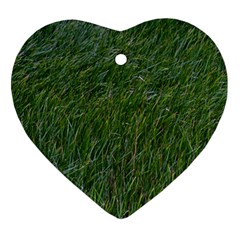 Simply Green Ornament (heart) by DimitriosArt