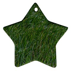 Simply Green Ornament (star) by DimitriosArt