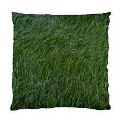 Simply Green Standard Cushion Case (one Side) by DimitriosArt