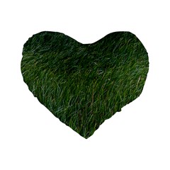 Simply Green Standard 16  Premium Heart Shape Cushions by DimitriosArt