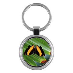 Butterfly  Key Chain (round)