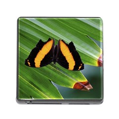 Butterfly  Memory Card Reader (square 5 Slot) by DimitriosArt