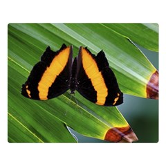 Butterfly  Double Sided Flano Blanket (large)  by DimitriosArt