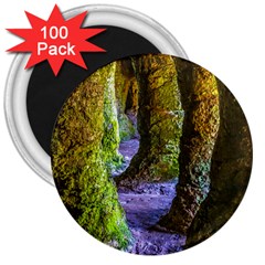 Grutas Del Palacio, Flores, Uruguay 3  Magnets (100 Pack) by dflcprintsclothing