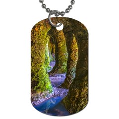 Grutas Del Palacio, Flores, Uruguay Dog Tag (two Sides) by dflcprintsclothing