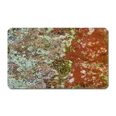 Colorful Abstract Texture Magnet (rectangular) by dflcprintsclothing