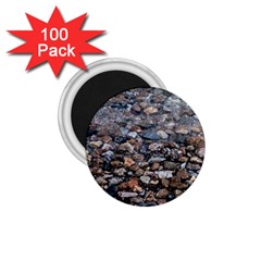 On The Rocks 1 75  Magnets (100 Pack)  by DimitriosArt