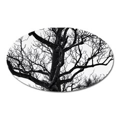 Shadows In The Sky Oval Magnet by DimitriosArt