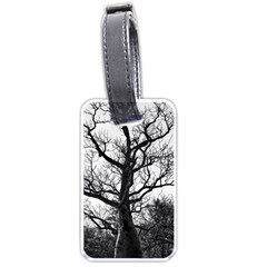 Shadows In The Sky Luggage Tag (one Side) by DimitriosArt