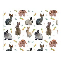 Cute Bunny Double Sided Flano Blanket (mini)  by SychEva
