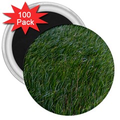Green Carpet 3  Magnets (100 Pack) by DimitriosArt