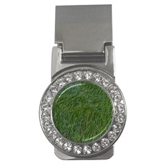 Green Carpet Money Clips (cz)  by DimitriosArt