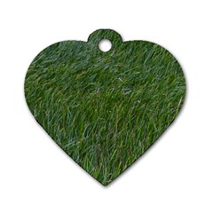 Green Carpet Dog Tag Heart (one Side) by DimitriosArt