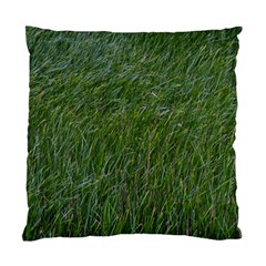 Green Carpet Standard Cushion Case (two Sides) by DimitriosArt