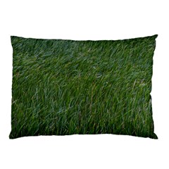 Green Carpet Pillow Case by DimitriosArt