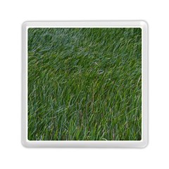 Green Carpet Memory Card Reader (square) by DimitriosArt