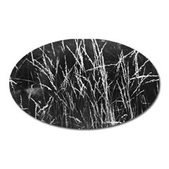 Field Of Light Abstract 3 Oval Magnet by DimitriosArt