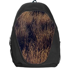 Field Of Light Pattern 1 Backpack Bag by DimitriosArt
