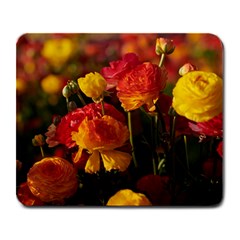 Vered-caspi-orlqbmy1om8-unsplash Large Mousepads by jellybeansanddinosaurs