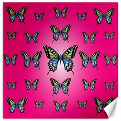 Butterfly Canvas 20  X 20 