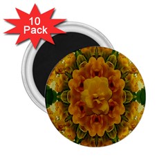 Tropical Spring Rose Flowers In A Good Mood Decorative 2 25  Magnets (10 Pack)  by pepitasart