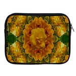 Tropical Spring Rose Flowers In A Good Mood Decorative Apple iPad 2/3/4 Zipper Cases Front