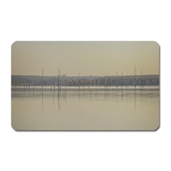 Grande Stream Landscape, Flores-soriano, Uruguay Magnet (rectangular) by dflcprintsclothing