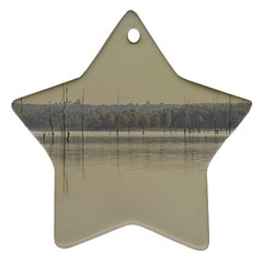 Grande Stream Landscape, Flores-soriano, Uruguay Star Ornament (two Sides) by dflcprintsclothing