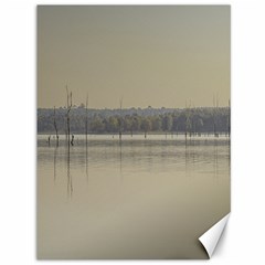 Grande Stream Landscape, Flores-soriano, Uruguay Canvas 36  X 48  by dflcprintsclothing