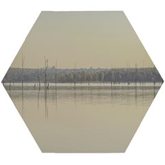 Grande Stream Landscape, Flores-soriano, Uruguay Wooden Puzzle Hexagon by dflcprintsclothing