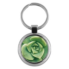Echeveria Imbricata Closeup Photo Key Chain (round) by dflcprintsclothing