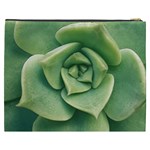 Echeveria Imbricata Closeup Photo Cosmetic Bag (XXXL) Back