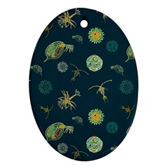 Plankton Pattern- Ornament (oval) by Jancukart