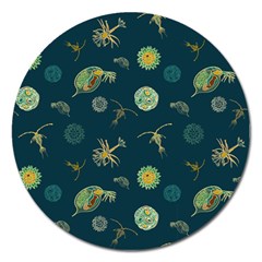 Plankton Pattern- Magnet 5  (round)