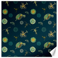 Plankton Pattern- Canvas 12  X 12 