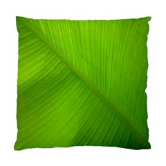 Banana Leaf Standard Cushion Case (One Side)