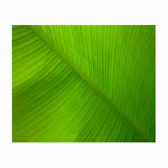 Banana Leaf Small Glasses Cloth (2 Sides)