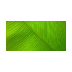 Banana Leaf Yoga Headband