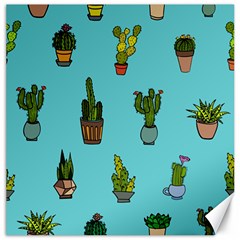 Succulents Teal Back Canvas 16  X 16 