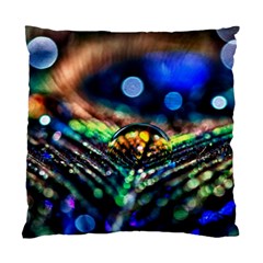Peacock Feather Drop Standard Cushion Case (one Side)