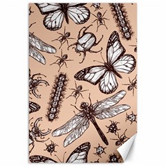 Vintage-drawn-insect-seamless-pattern Canvas 20  X 30 