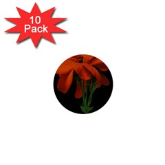 Red Geranium Over Black Background 1  Mini Buttons (10 Pack)  by dflcprintsclothing