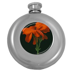 Red Geranium Over Black Background Round Hip Flask (5 Oz) by dflcprintsclothing