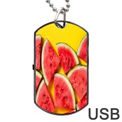 Watermelon Dog Tag Usb Flash (two Sides) by artworkshop