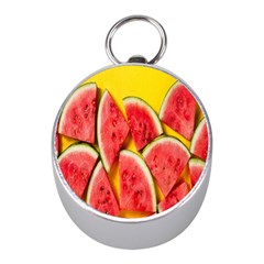 Watermelon Mini Silver Compasses by artworkshop