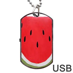 Watermelon Pillow Fluffy Dog Tag Usb Flash (two Sides) by artworkshop