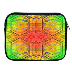 Hexafusion Apple Ipad 2/3/4 Zipper Cases by Thespacecampers