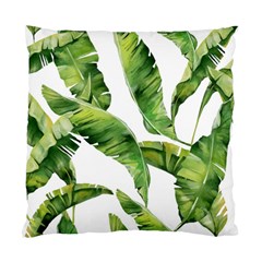 Sheets Tropical Plant Palm Summer Exotic Standard Cushion Case (two Sides) by artworkshop